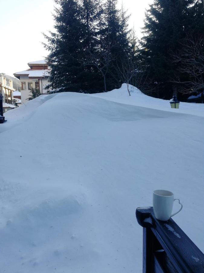 IV Apartment In The Wonderful Rhodope Mountain Smolyan Exterior foto