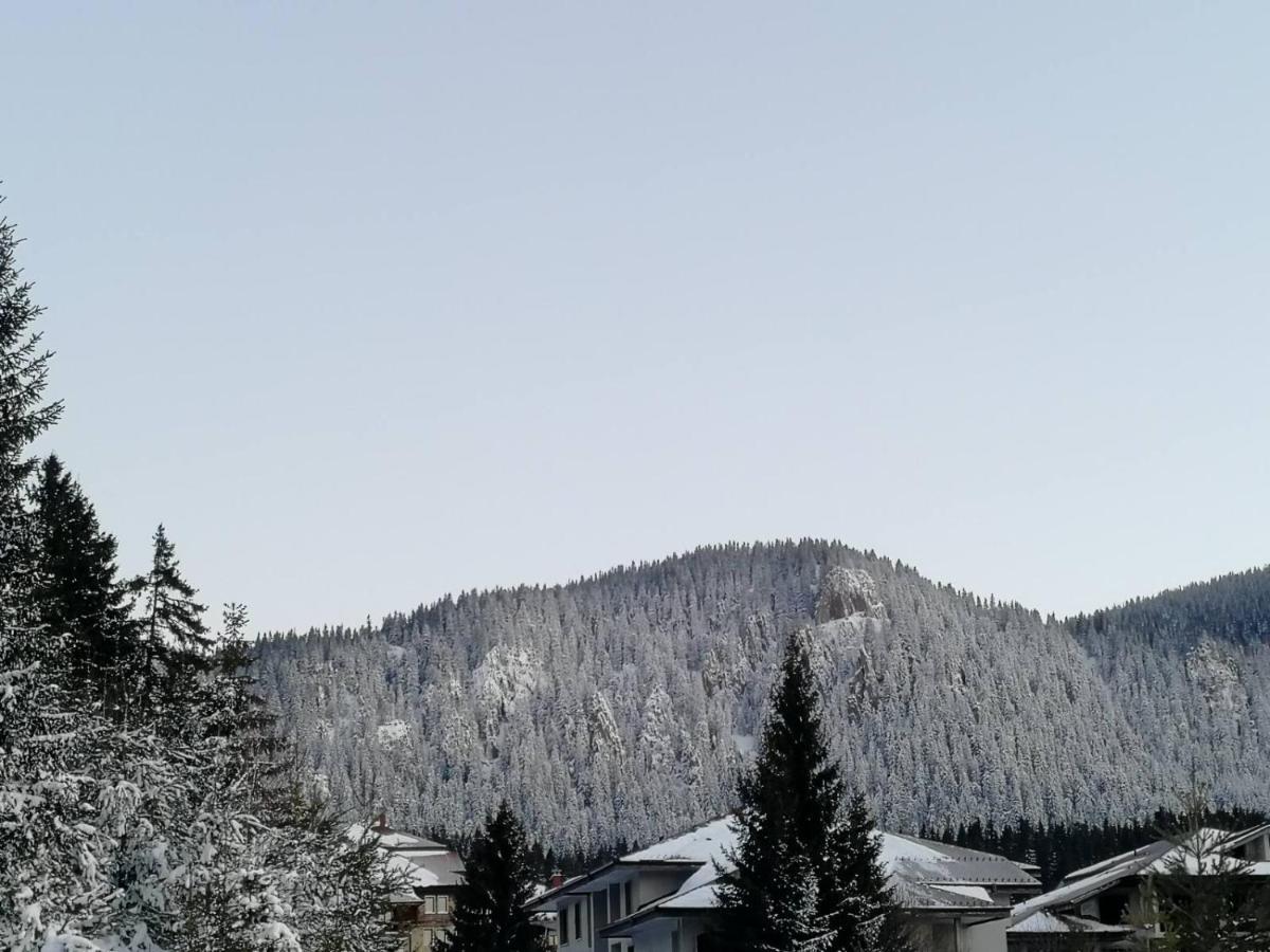 IV Apartment In The Wonderful Rhodope Mountain Smolyan Exterior foto
