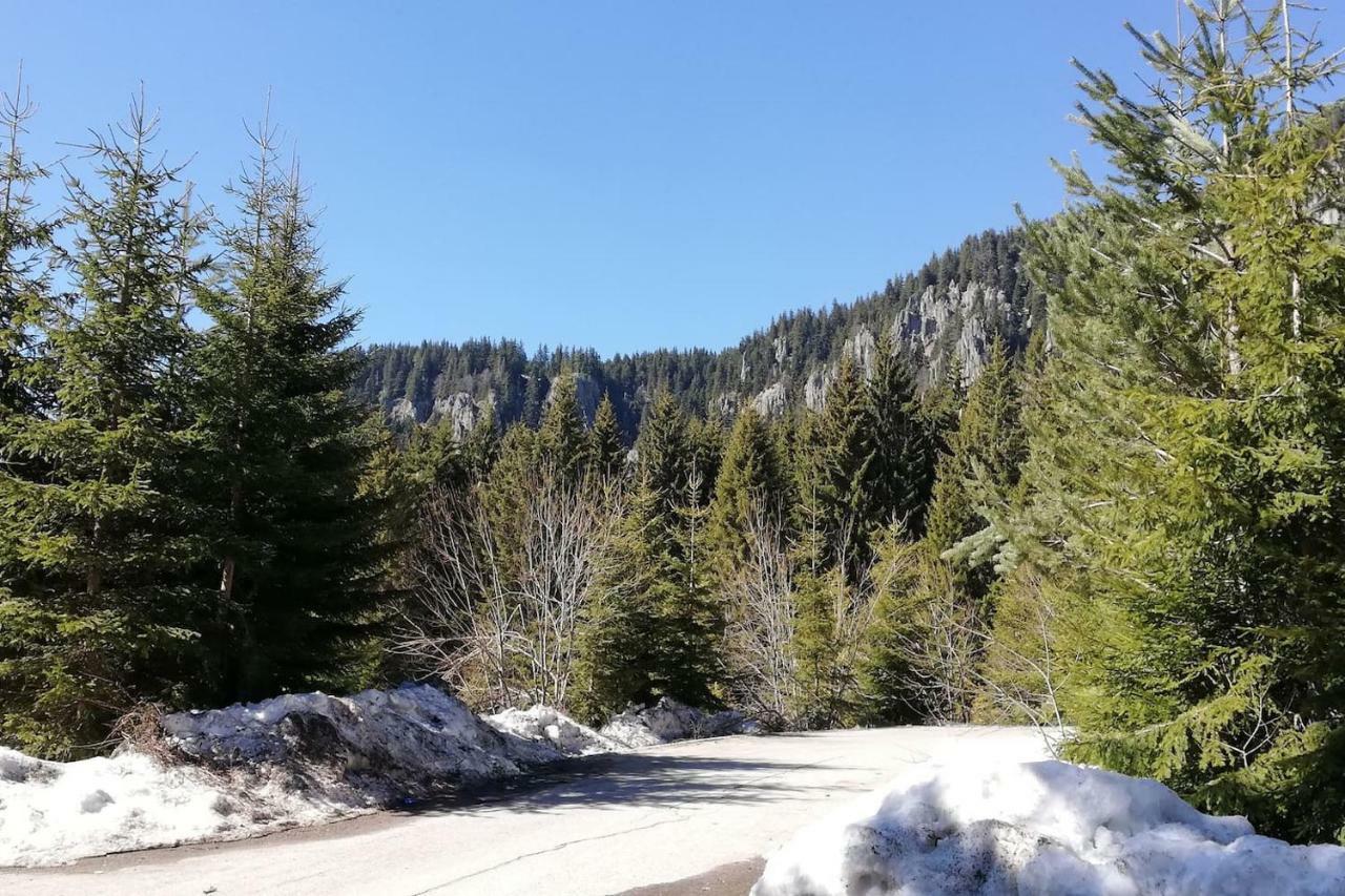 IV Apartment In The Wonderful Rhodope Mountain Smolyan Exterior foto
